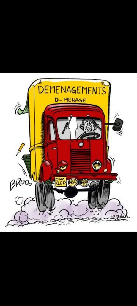 propose grande camionnette+remorque,déménagement,livraison, Immo