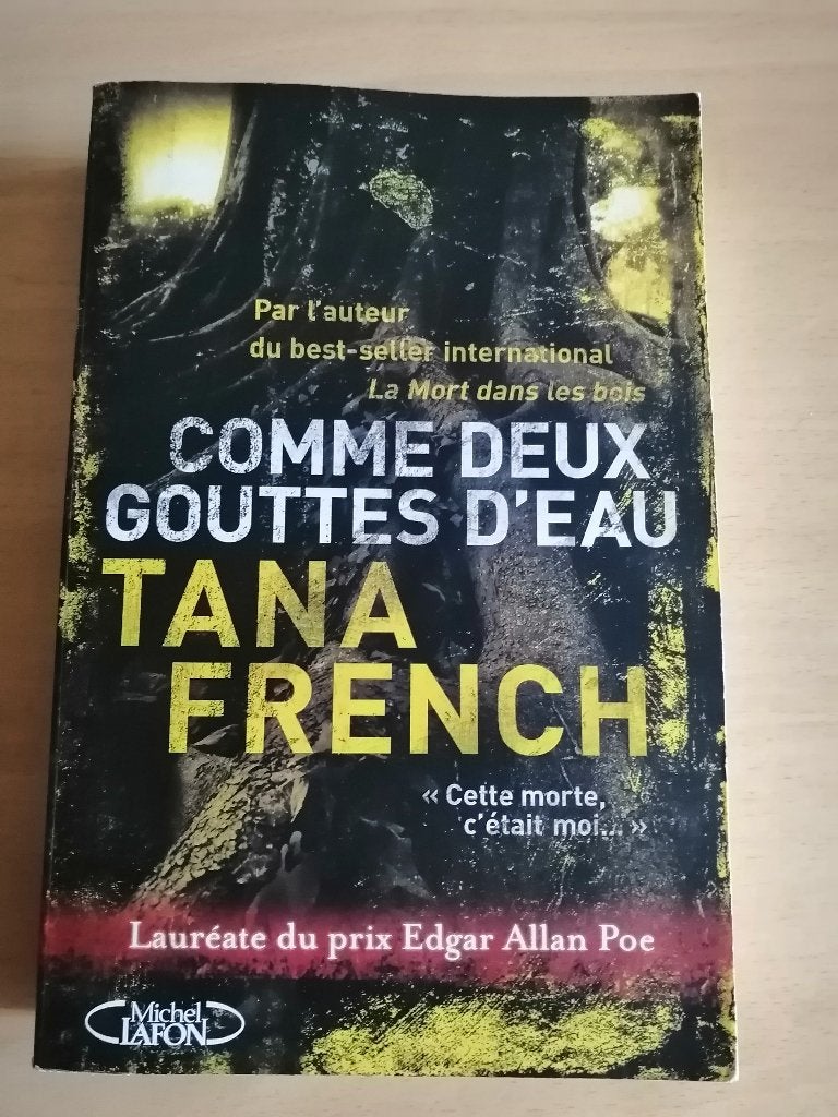 Comme deux gouttes d'eau de Tana French, Enlèvement ou Envoi