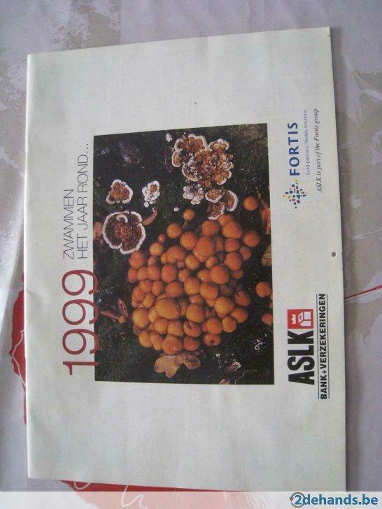 Calendrier "champignons toute l'année" 1999 / gratuit, Divers, Agendas, Comme neuf, Envoi