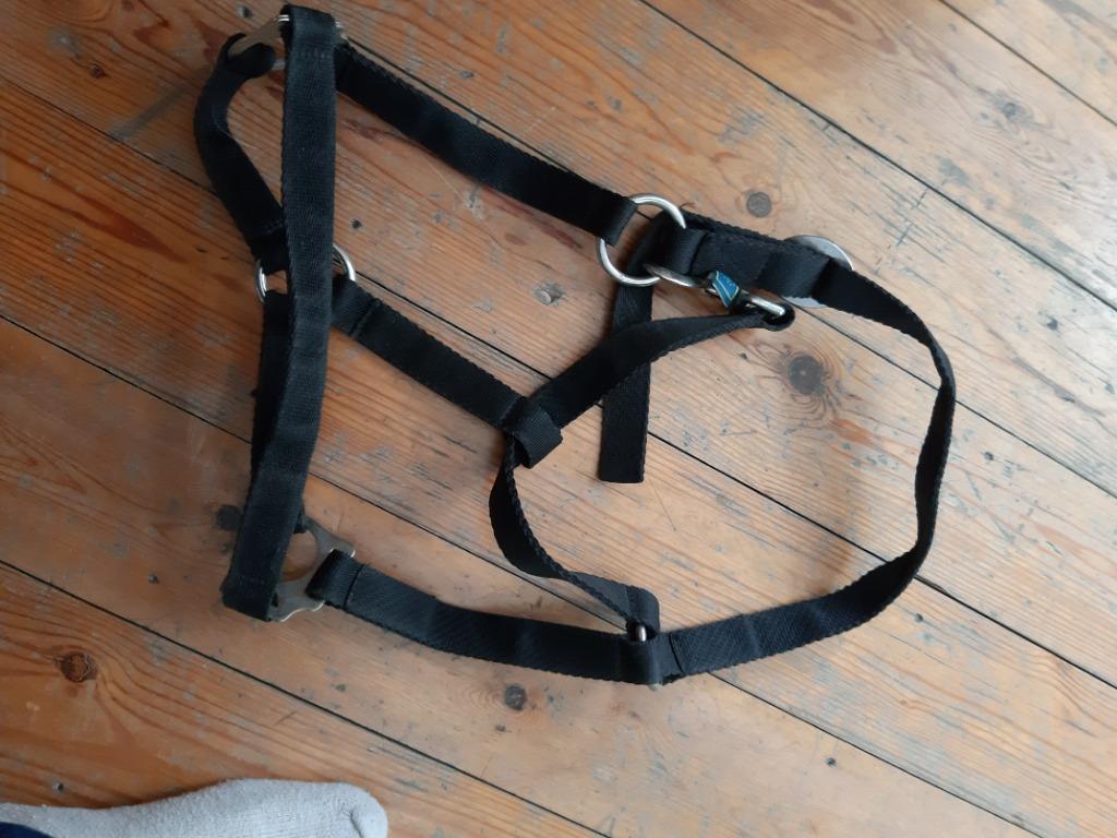halster paard zwart nylon, Ophalen of Verzenden, Zo goed als nieuw