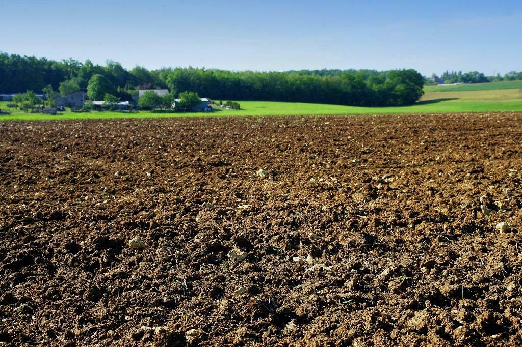Terrain agricole, Immo, Terrains & Terrains à bâtir