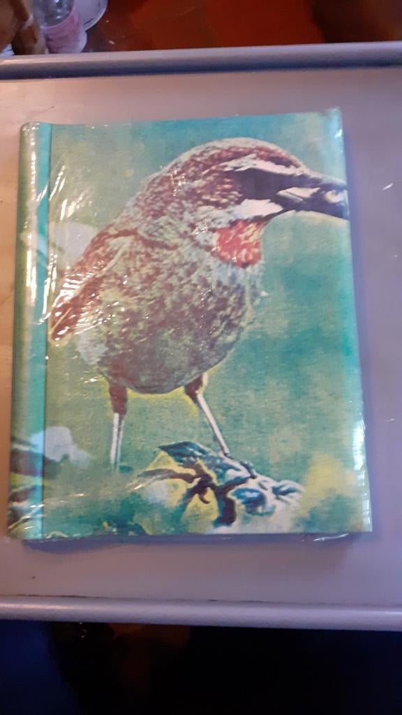 Album photo vintage motif moineau non ouvert, Enlèvement ou Envoi, Comme neuf
