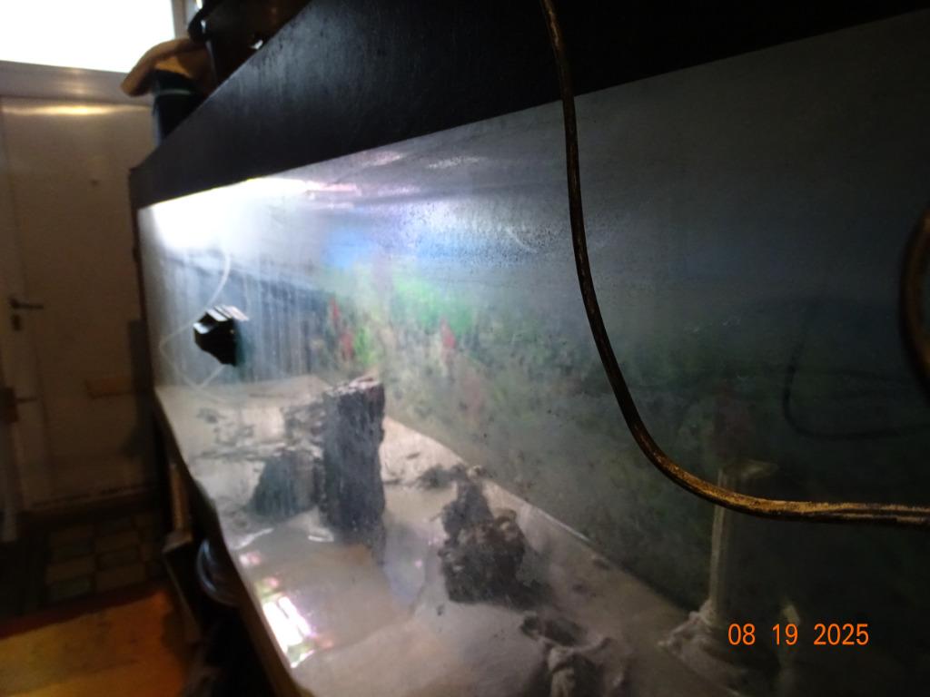 grand aquarium 250 L X 70 H X 50CM L, Animaux & Accessoires, Enlèvement, Pompe, Utilisé, Aquarium vide