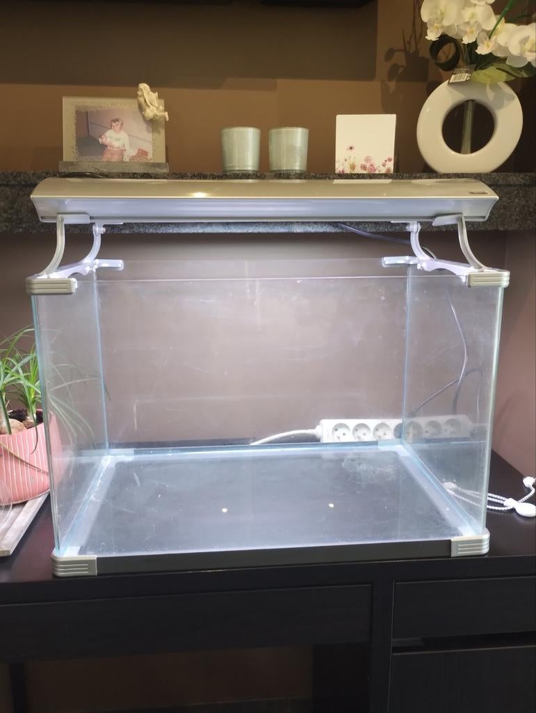 Aquarium, Dieren en Toebehoren, Ophalen