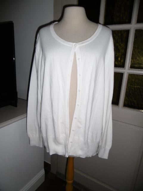 Grote maten, witte cardigan dames, xl., Kleding | Dames, Ophalen of Verzenden