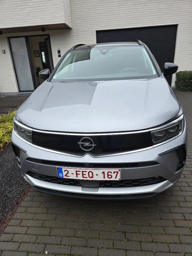 Voiture de tourisme Opel Grandland 1.2, Argent ou Gris, Achat, 1250 kg, Euro 6
