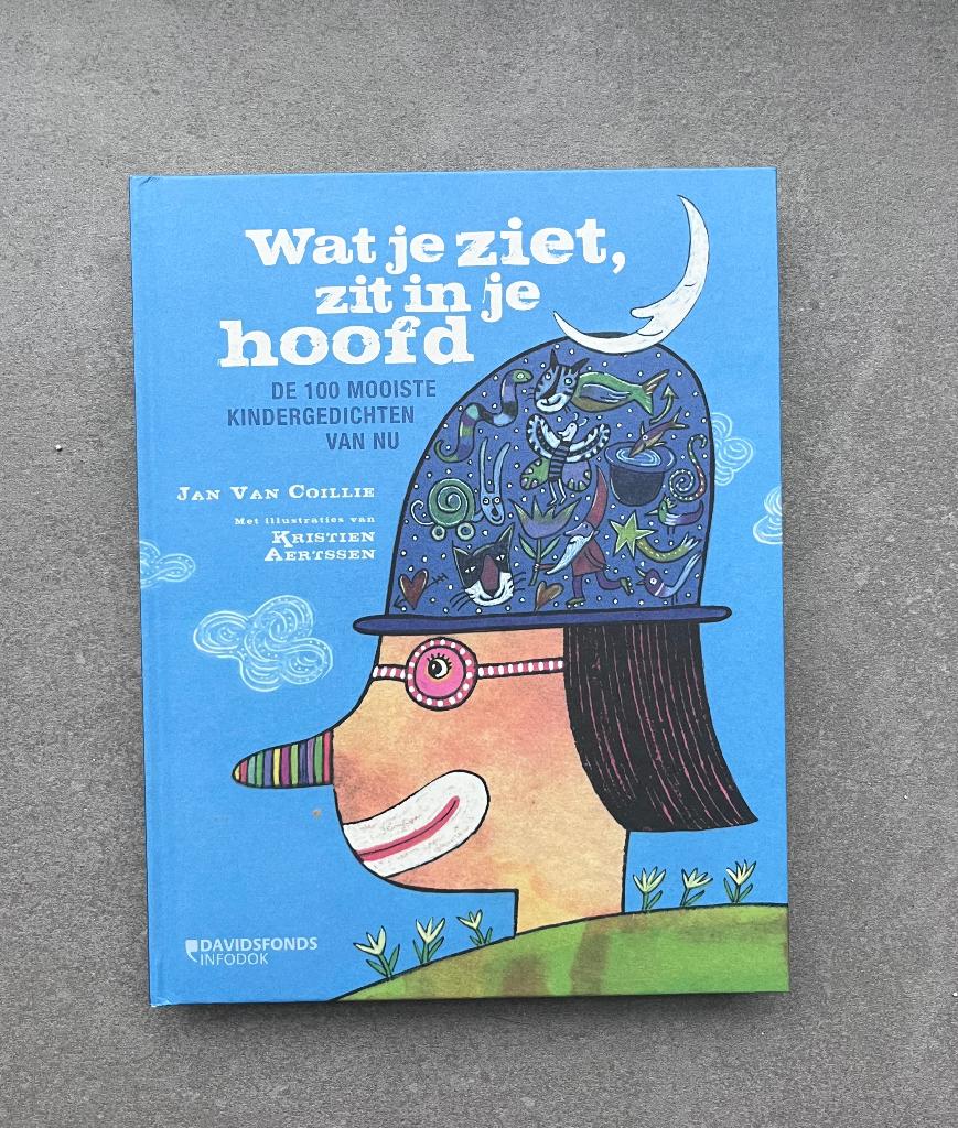 Gedichtenboek Wat je ziet in je hoofd - NIEUW!, Nieuw, Ophalen of Verzenden, Eén auteur, Jan Coillie