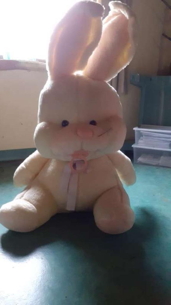 Knuffel groot konijn, Ophalen, Nieuw, Konijn