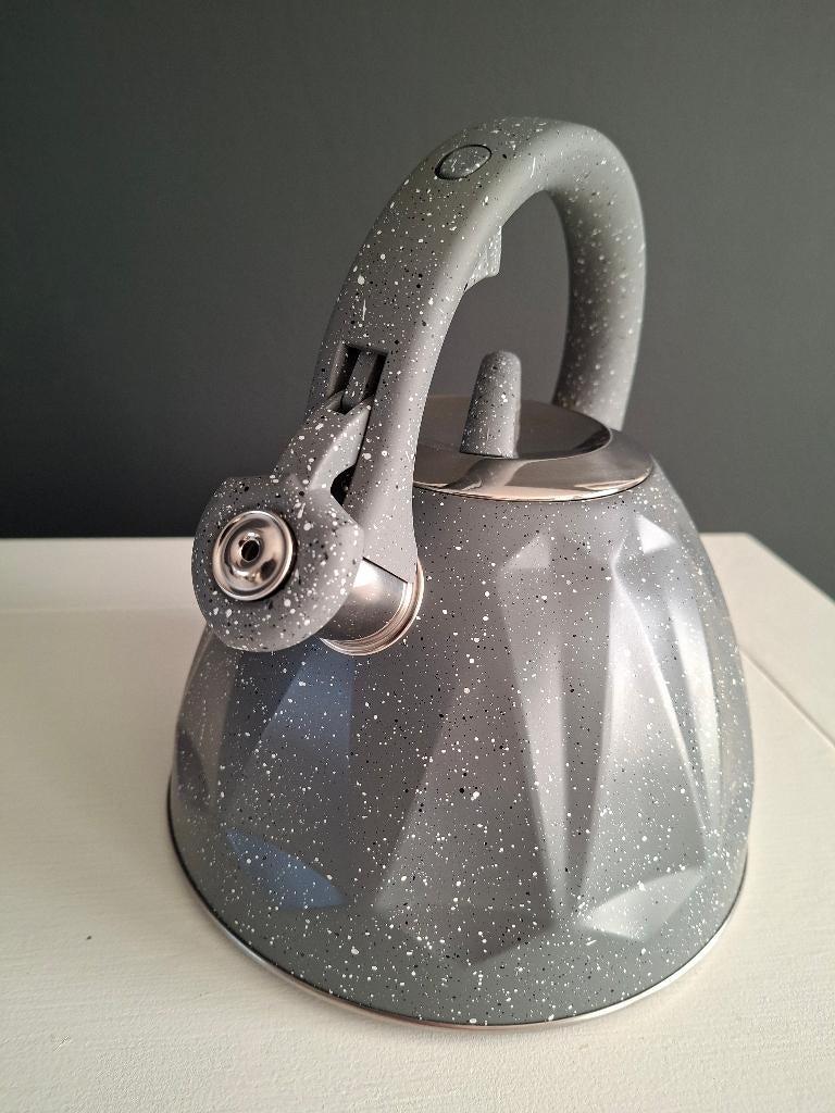 Waterkoker / fluitketel voor inductie 3 liter, 2 liter of meer, Ophalen, Nieuw, Draadloos