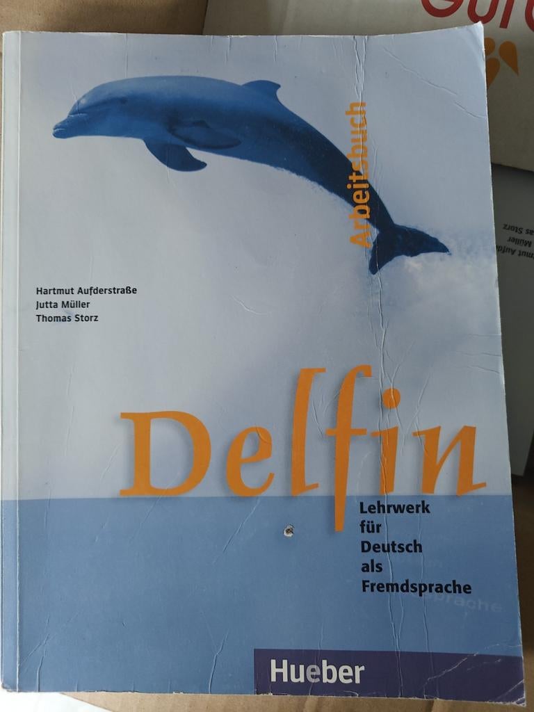 Duits Delfin Arbeitsbuch, Boeken, Schoolboeken, Ophalen of Verzenden, Duits