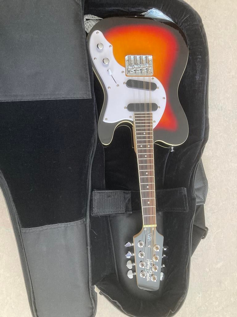 Mandoline avec micros, Musique & Instruments, Instruments à corde | Mandolines, Enlèvement, Neuf