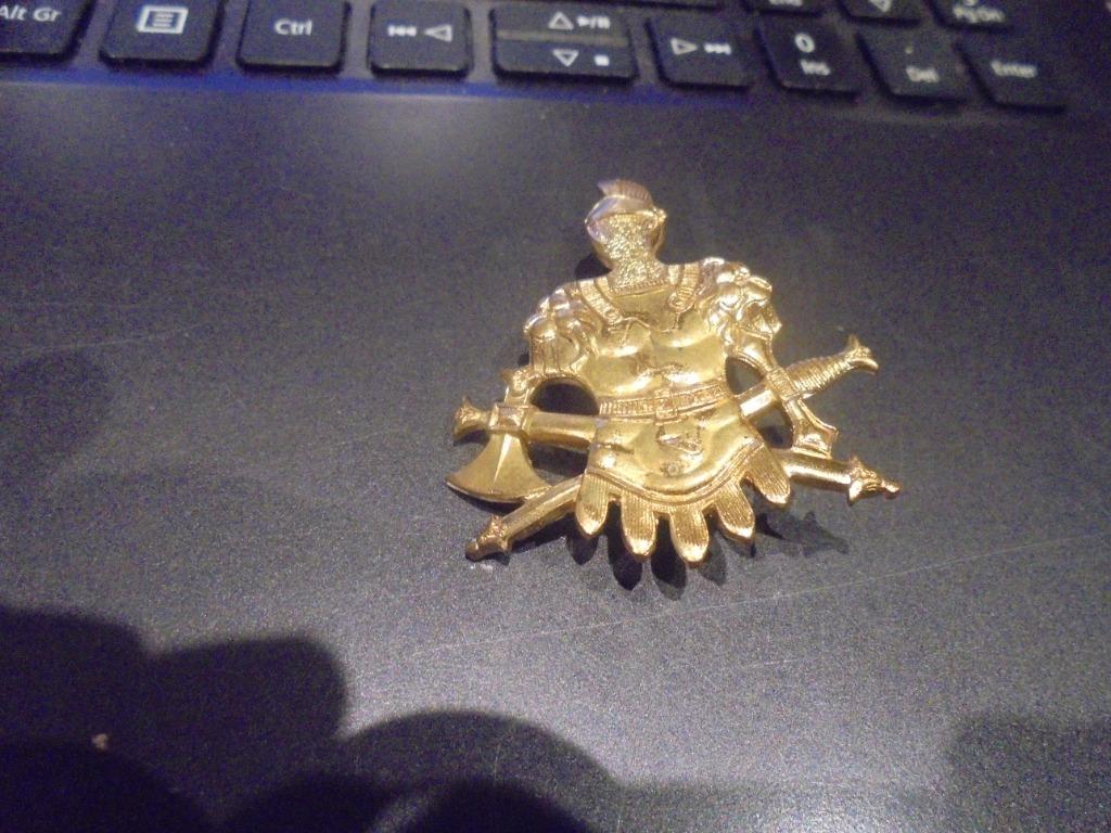 genie mutskenteken, Enlèvement ou Envoi, Armée de terre, Emblème ou Badge
