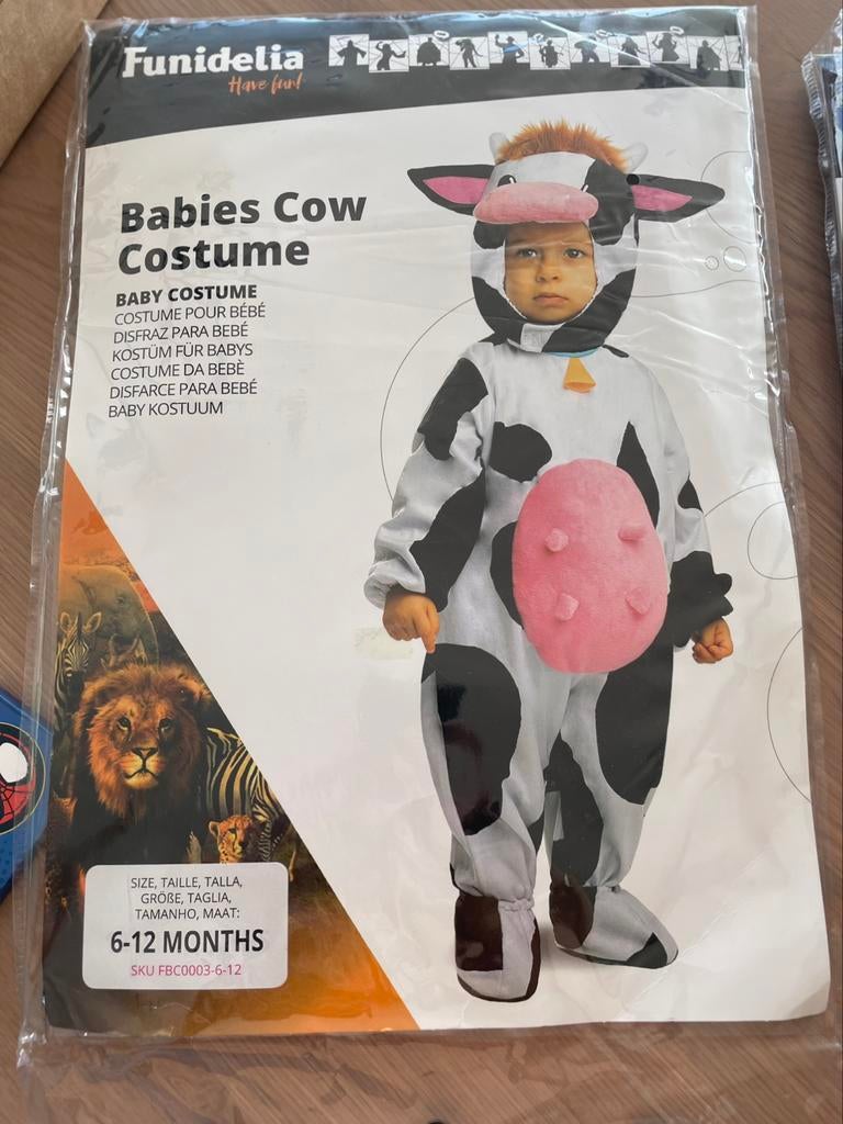 Carnavalkostuum voor baby’s, Ophalen, Zo goed als nieuw