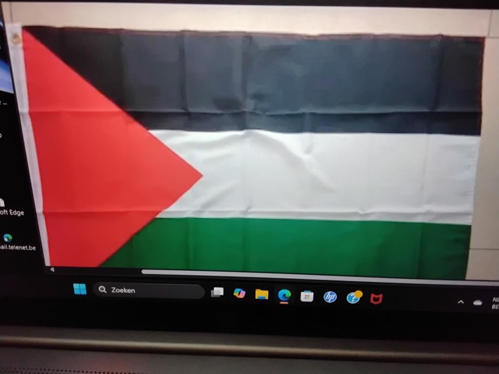 Nieuwe palestijnse vlag(90/150cm), Ophalen of Verzenden, Zo goed als nieuw