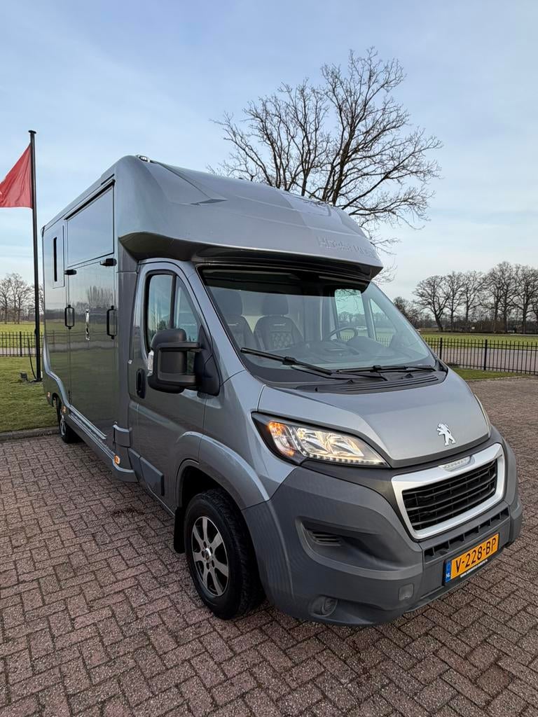 Prachtige Peugeot Paardencamionette - 2016 - 56.000M!, Dieren en Toebehoren, Paarden en Pony's | Trailers en Aanhangwagens, Ophalen