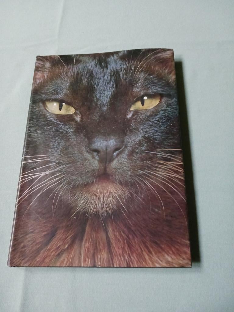 Artis Historia 'De wondere wereld der katten'., Enlèvement ou Envoi, Chats