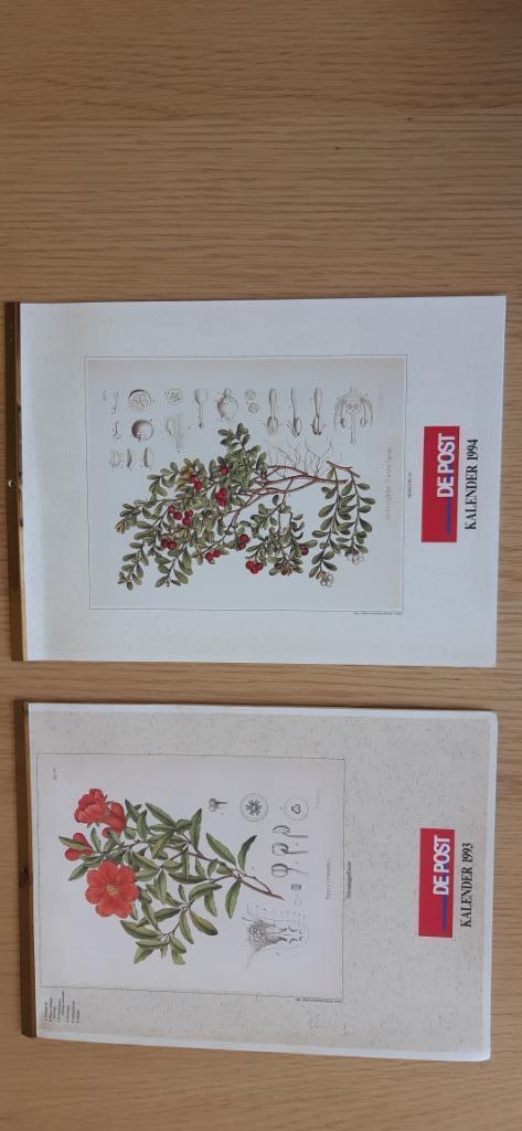 Calendrier De Post 1993 + 1994 - plantes et décomposition, Divers, Calendriers, Enlèvement ou Envoi, Calendrier mensuel, Comme neuf
