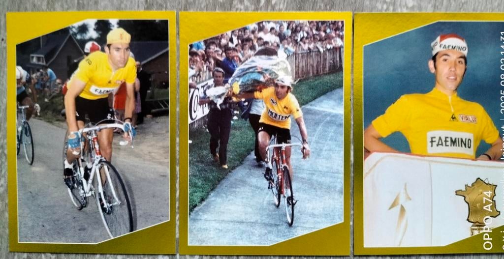 Stickers Eddy Merckx Panini, Verzamelen, Verzenden