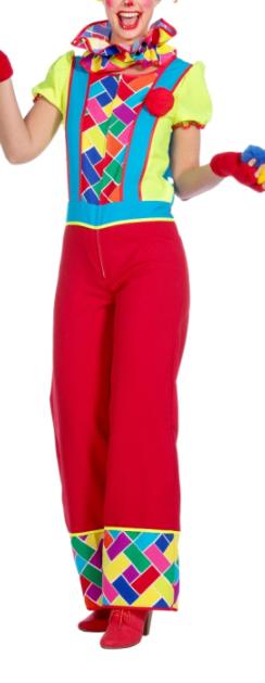carnaval pak (clown jumpsuit), Kleding | Dames, Verzenden, Gedragen, Maat 38/40 (M), Kleding