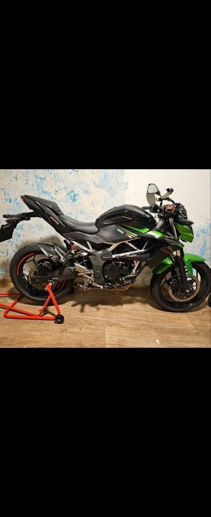 Kawasaki 125, Particulier