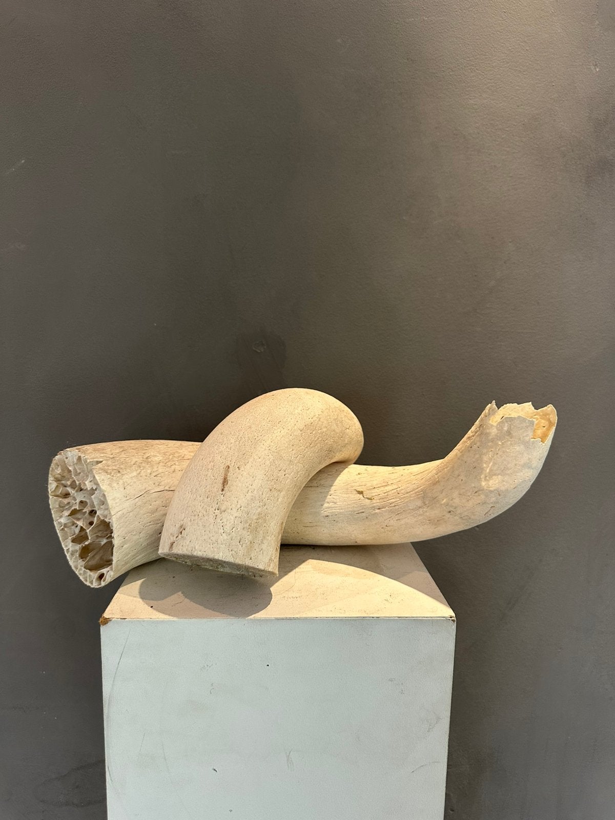 Set van 2 authentieke hoornkernen, Antiek en Kunst, Kunst | Beelden en Houtsnijwerken, Ophalen