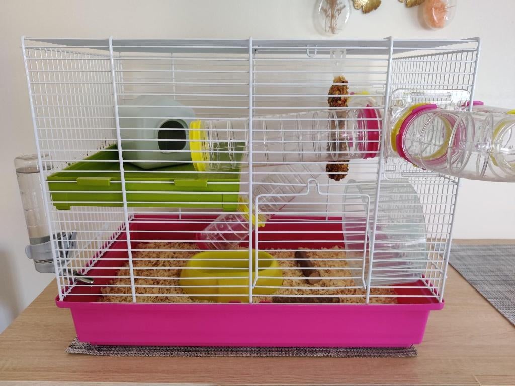Cage pour hamster, Dieren en Toebehoren, Ophalen, Gebruikt, Kooi, Hamster
