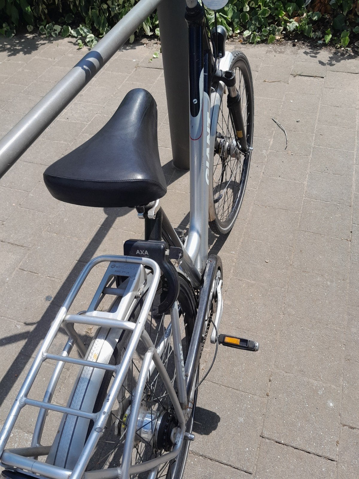 Damesfiets Giant, Ophalen, Giant