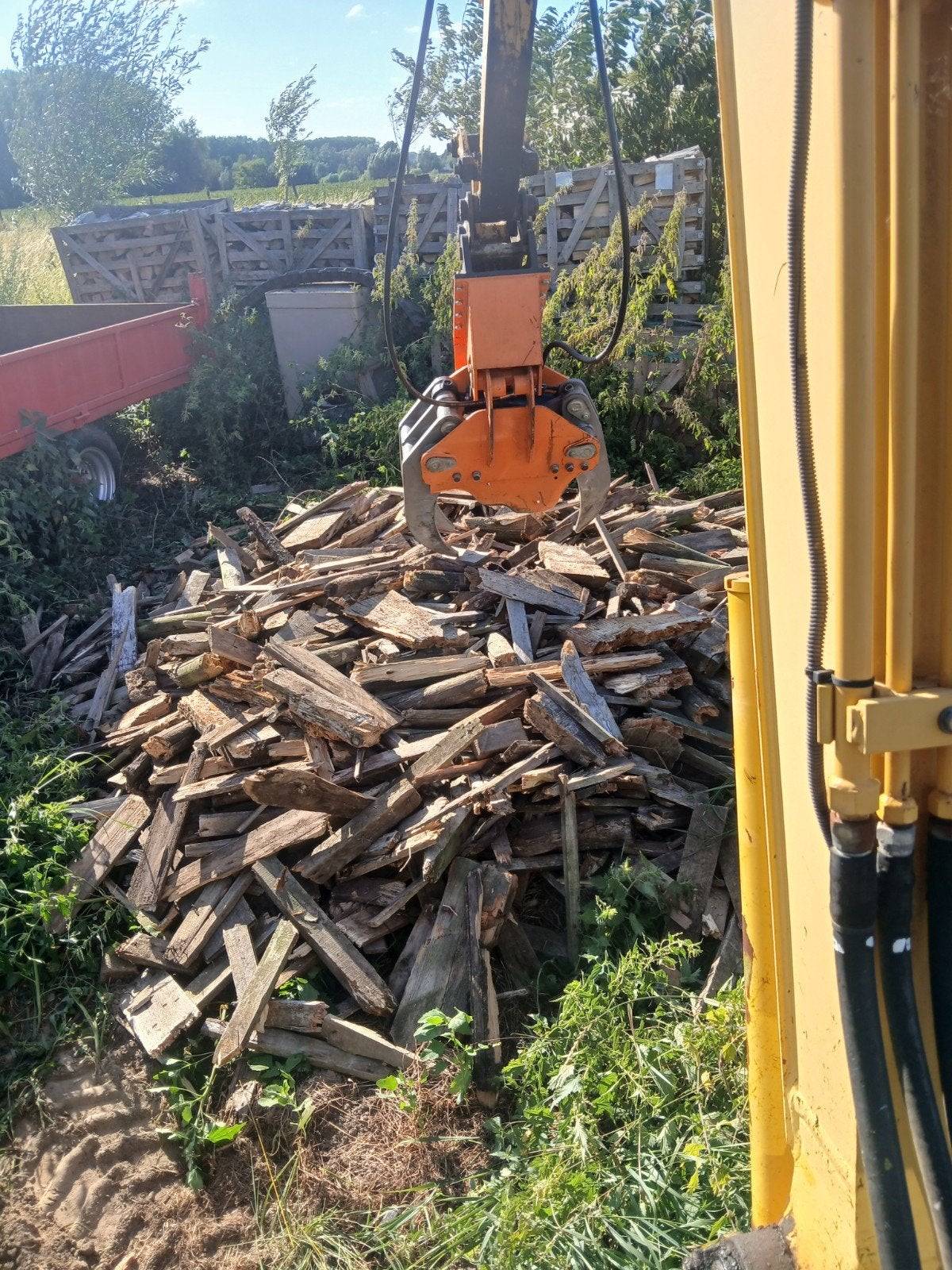 knotten van wilgen, Enlèvement