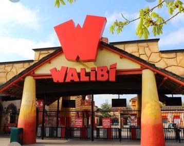 Tickets Walibi voor 4 pers., Tickets & Billets, Trois personnes ou plus, Ticket ou Carte d'accès
