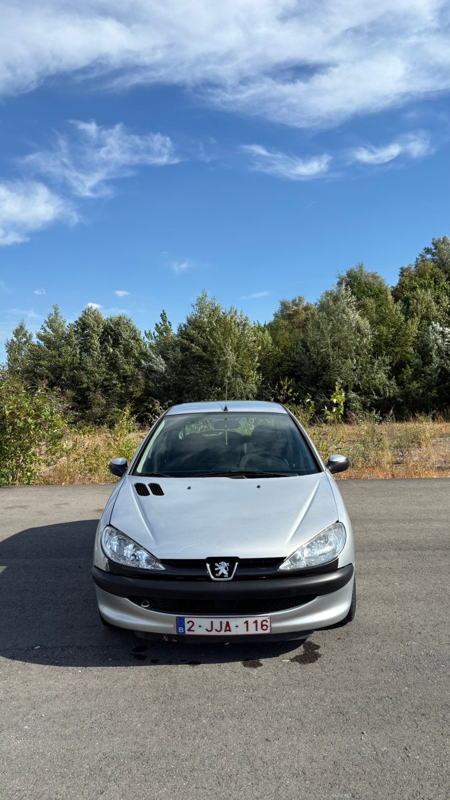 Peugeot 206, Achat, 5 portes, Vitres électriques, Diesel