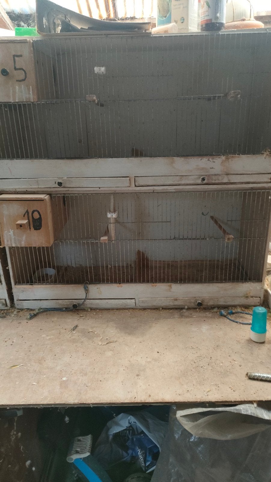 cage d'élevage, Animaux & Accessoires, Enlèvement, Utilisé, Bois, Cage d'élevage