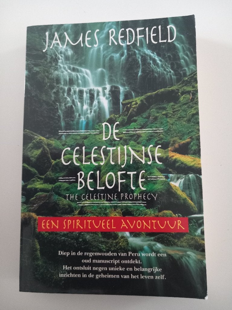 Livre The Celestine Promise James Redfield Spirituality, Livres, Enlèvement ou Envoi, James Redfield, Manuel d'instruction