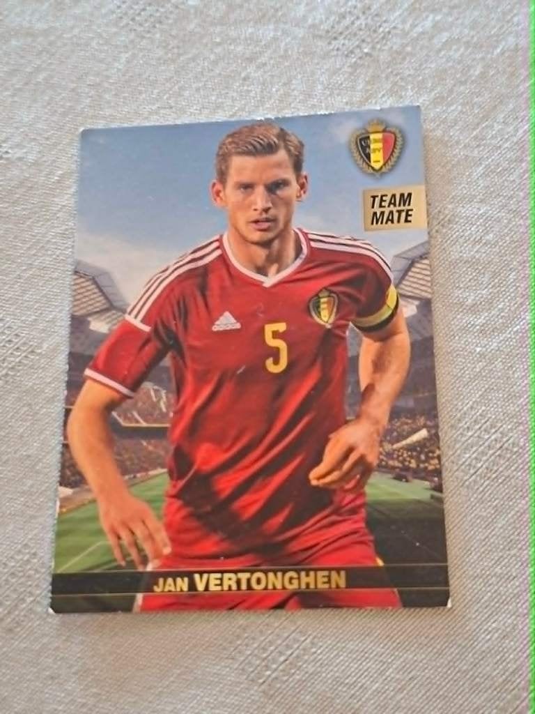 Panini / Voetbalkaart / Jan Vertonghen / Rode Duivels, Ophalen of Verzenden, Zo goed als nieuw, Spelerskaart