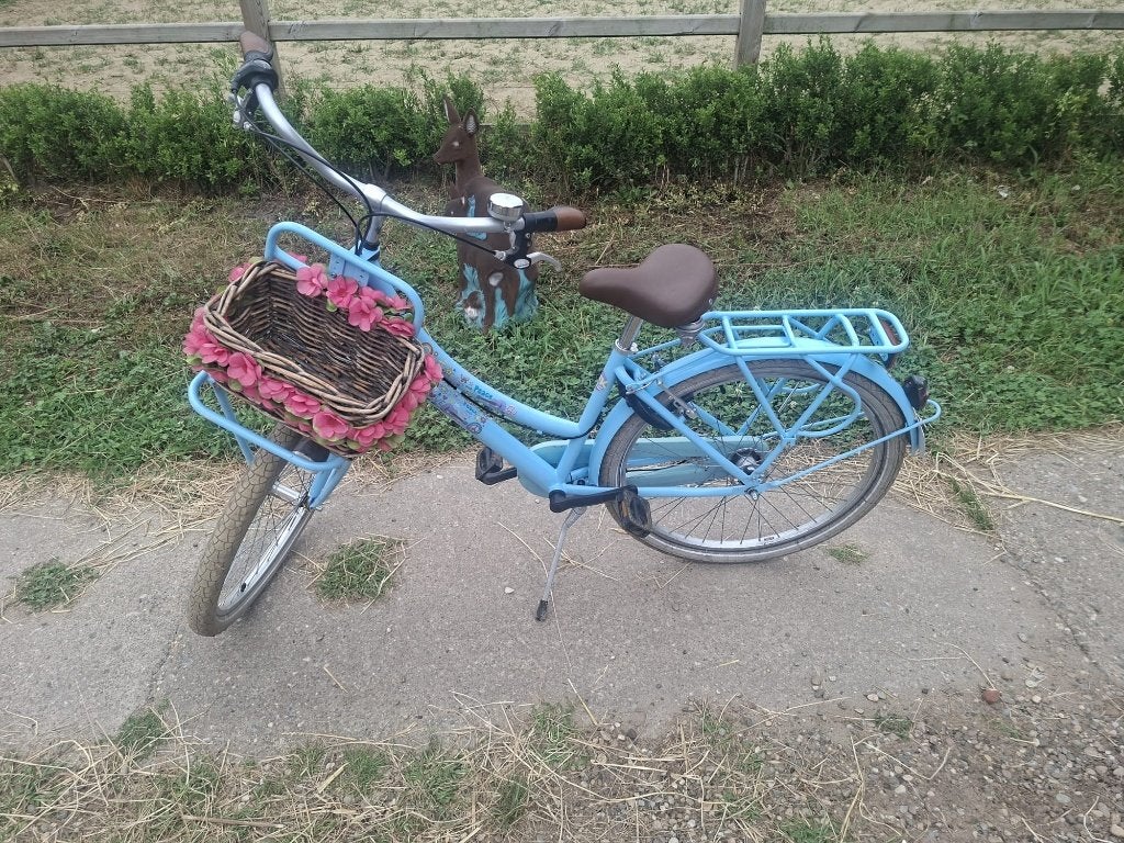 Leuke meisjesfiets 26 inch, Ophalen, Gebruikt, 26 inch of meer, Handrem