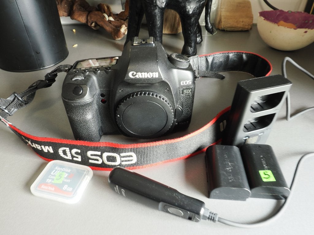 Canon EOS 5D Mark II, Sans zoom optique, Canon, Enlèvement, Utilisé