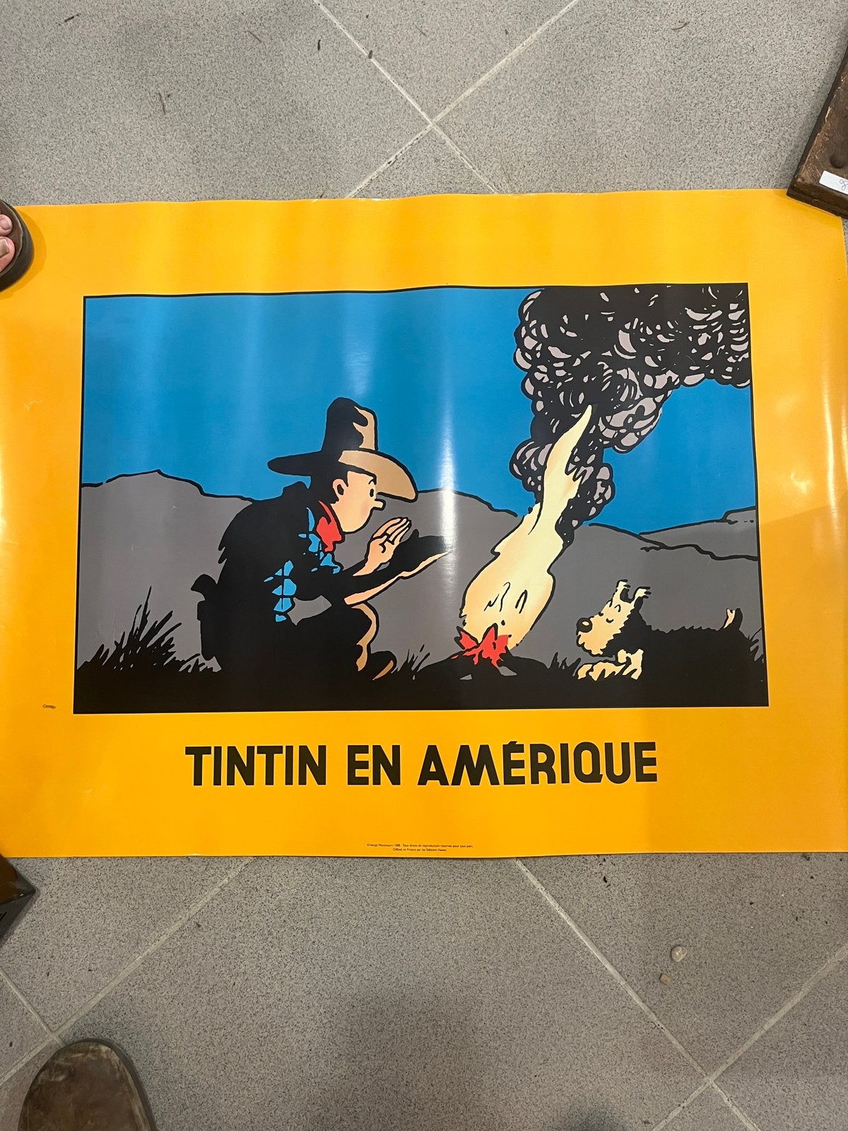 Tin tin poster ‘kuifje’ en amerique, Ophalen of Verzenden, Zo goed als nieuw