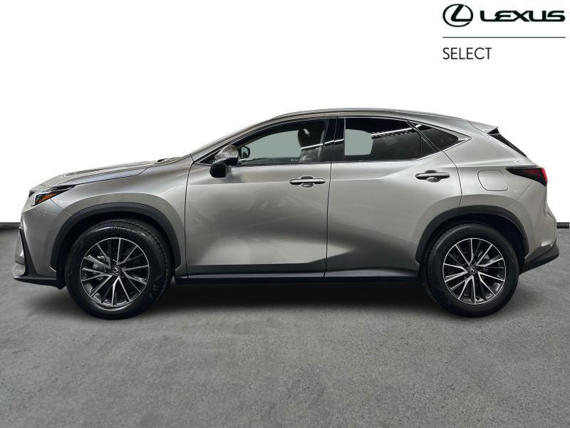 Lexus NX 350h Executive Line + HUD, Autos, Lexus, Achat, 2487 cm³, Autres couleurs, 5 portes