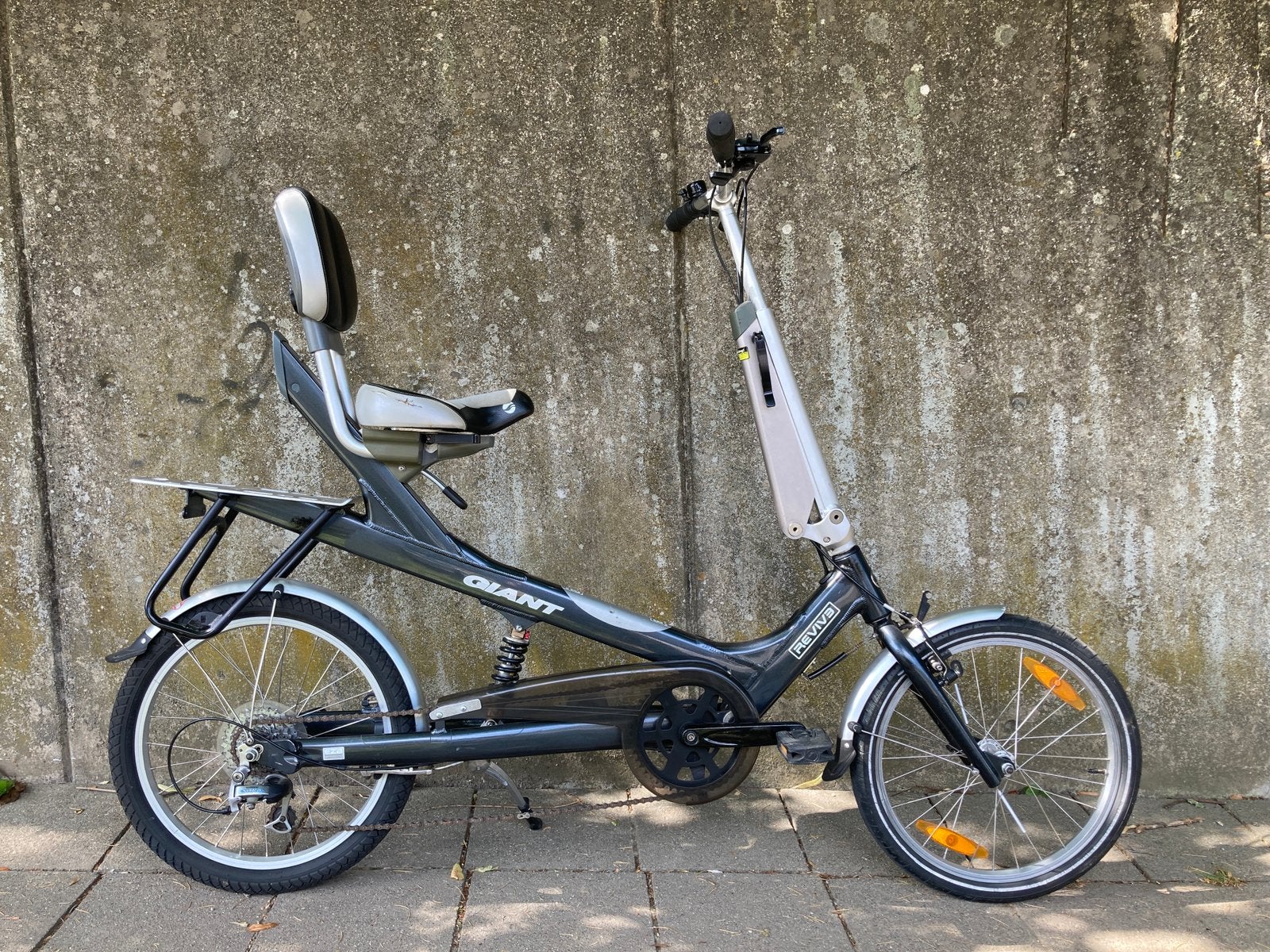 Vélo couché GIANT, Fietsen en Brommers, Fietsen | Ligfietsen, Ophalen, Giant