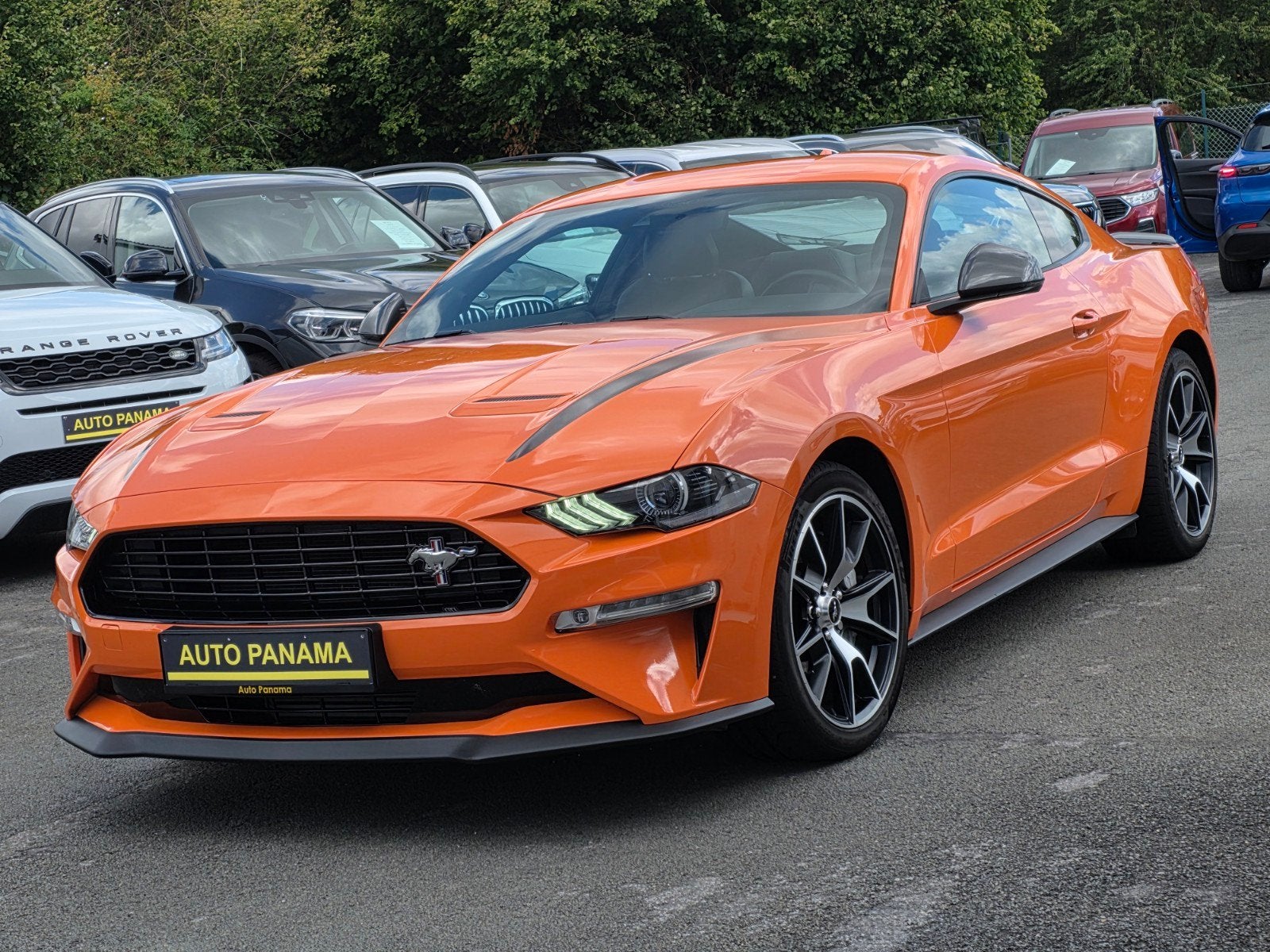Ford Mustang 2.3 290CV FIFTY FIVE YEARS BOITE MANU FULL FULL, Autos, Cuir, https://public.car-pass.be/vhr/64cf90e4-8a55-47e5-a152-2e09fdd02a4c