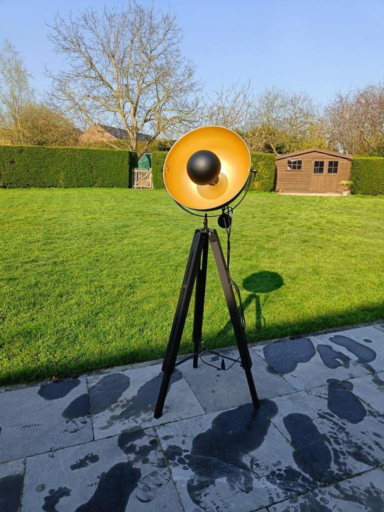 Vloerlamp industrieel, Huis en Inrichting, Lampen | Vloerlampen, Ophalen