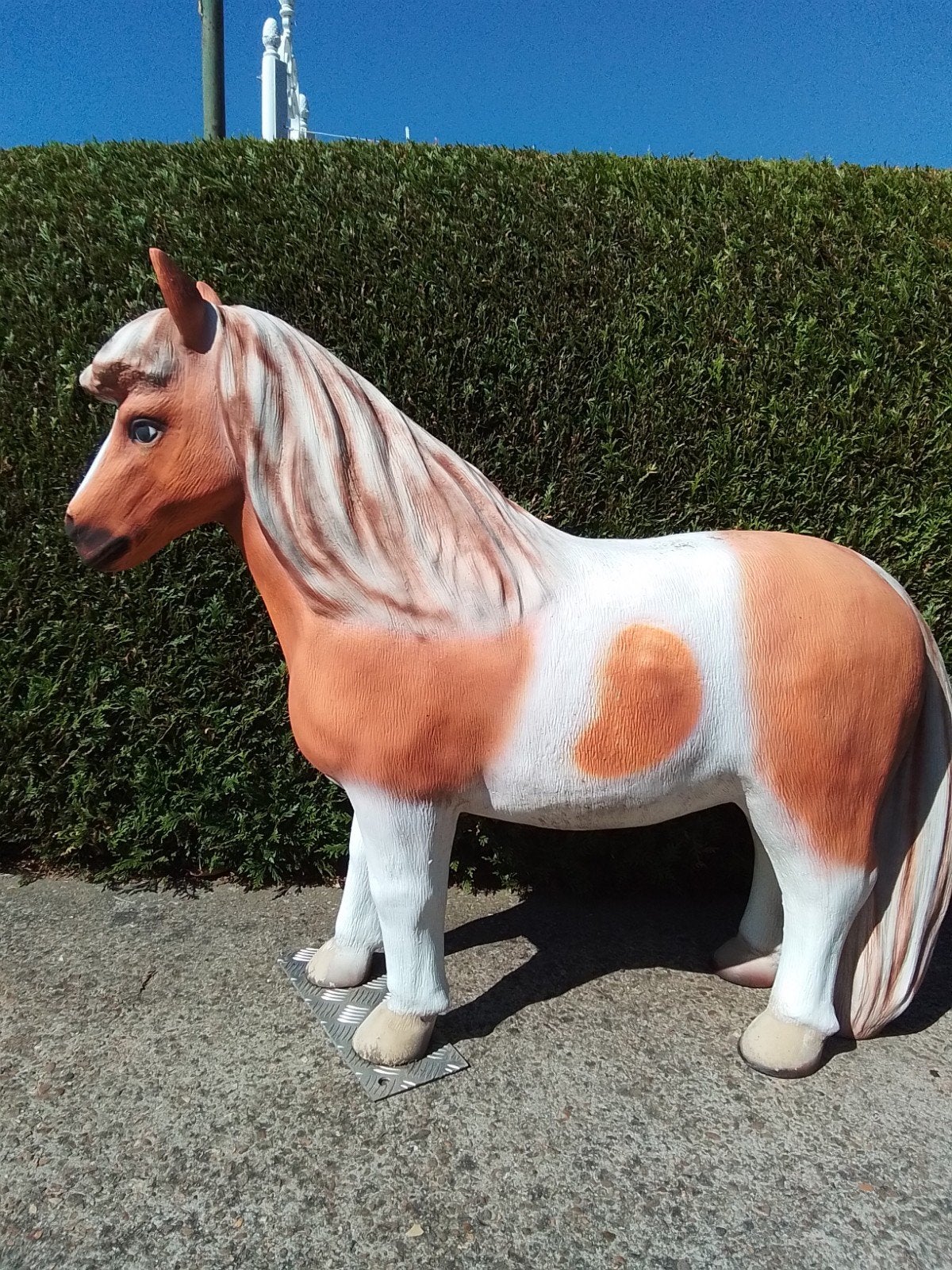 zeer mooie  pony  (harde polyester), Ophalen