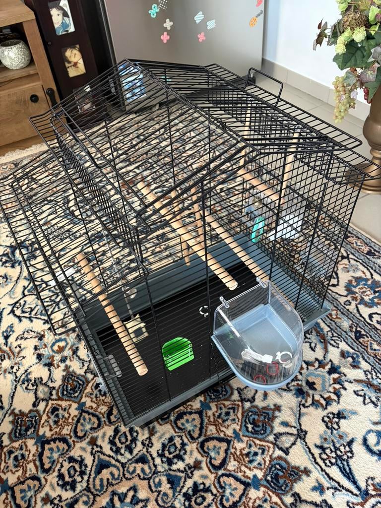 Vogelkooi, Enlèvement, Comme neuf, Cage à oiseaux