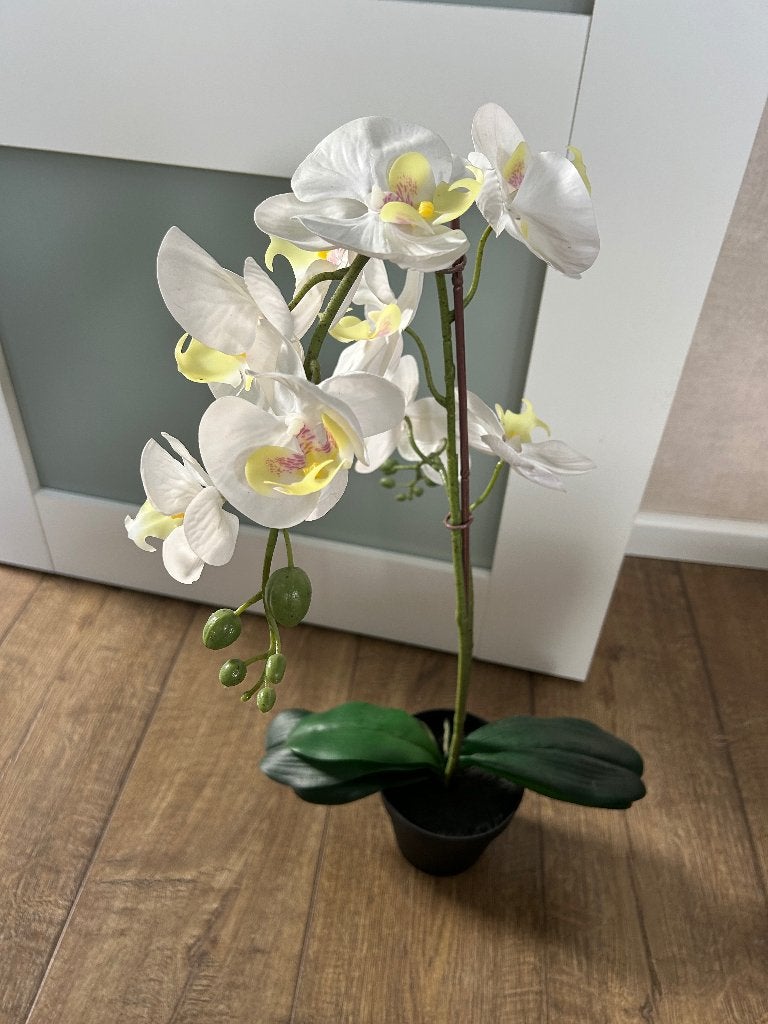 Ikea fejka, Ophalen, Kunstplant, IKEA, Wit