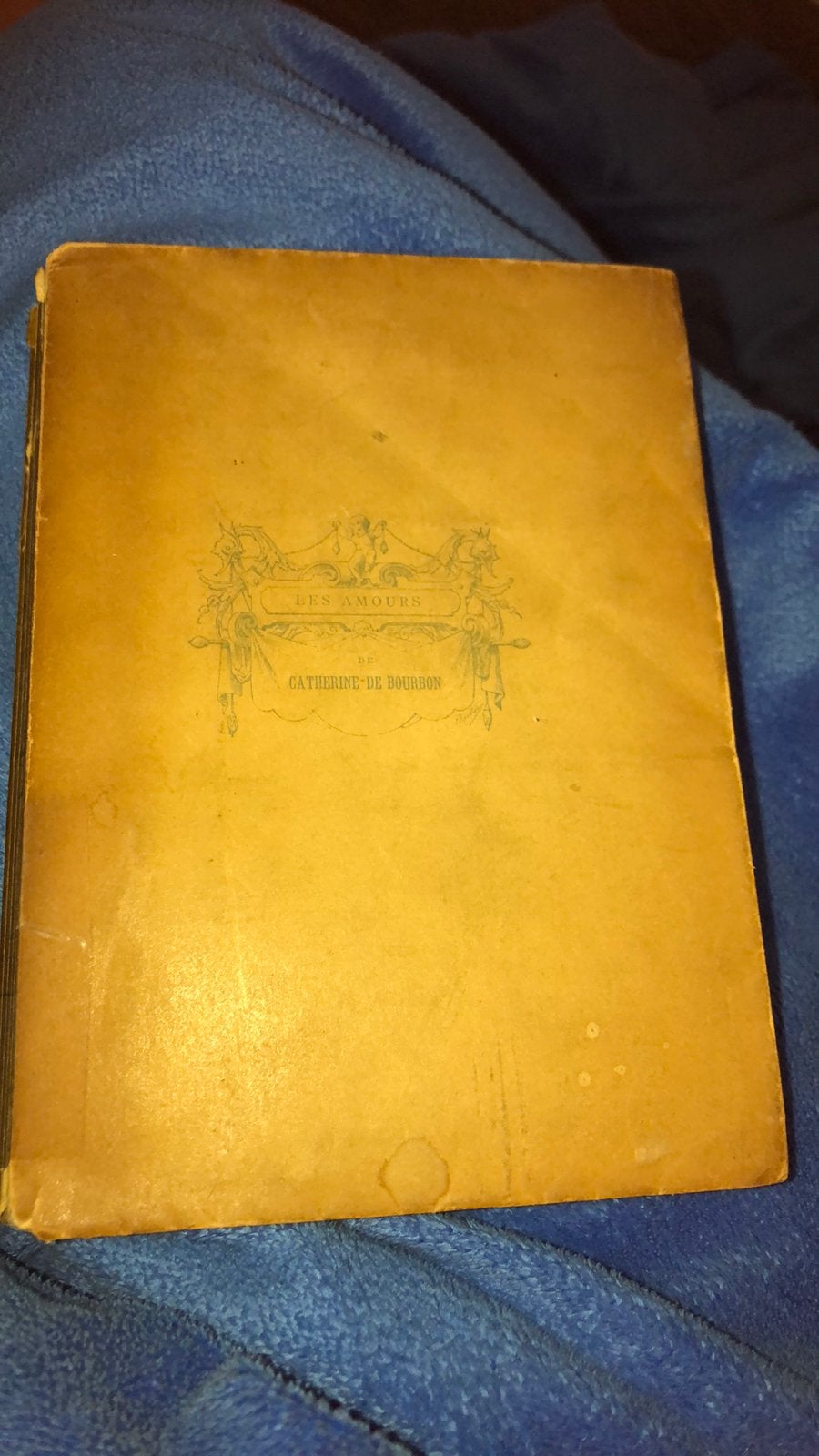 De liefdes van Catharina van Bourbon, boek 1882