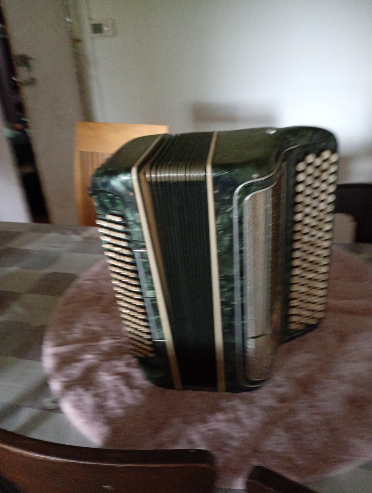Accordeon, Musique & Instruments, Accordéons, Enlèvement