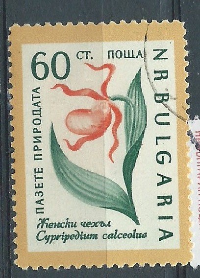 BULGARIE, Envoi, Bulgarie, Affranchi