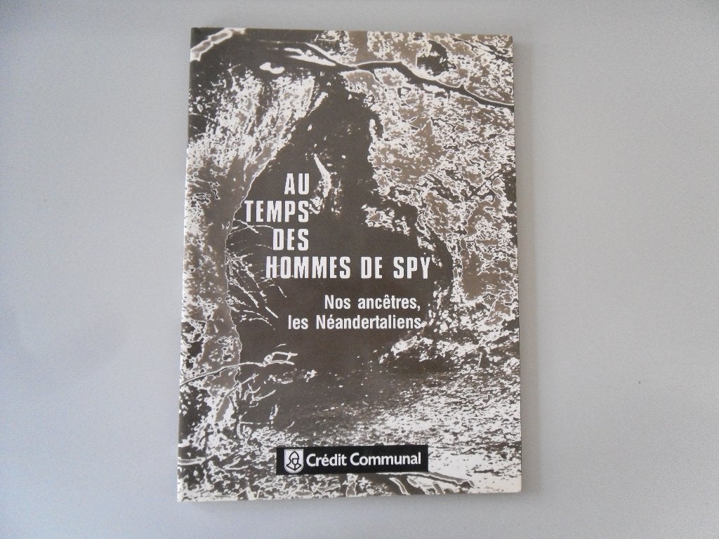 Au temps des hommes de Spy - Nos ancêtres, les.., Livres, Enlèvement ou Envoi, Utilisé, André LEGUEBE et Daniel COHEN