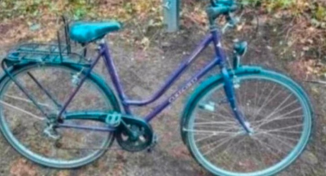 Fiets Oxford Dames, Fietsen en Brommers, Ophalen