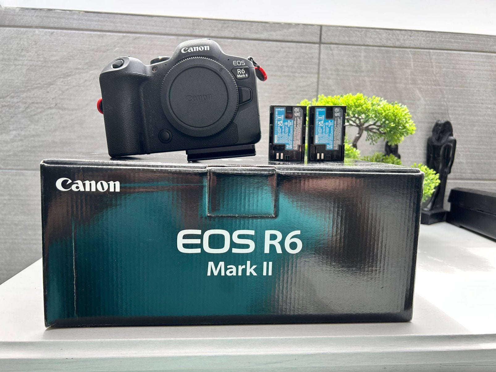Canon R6 Mkii, TV, Hi-fi & Vidéo, Appareils photo numériques, Enlèvement, Comme neuf, Canon