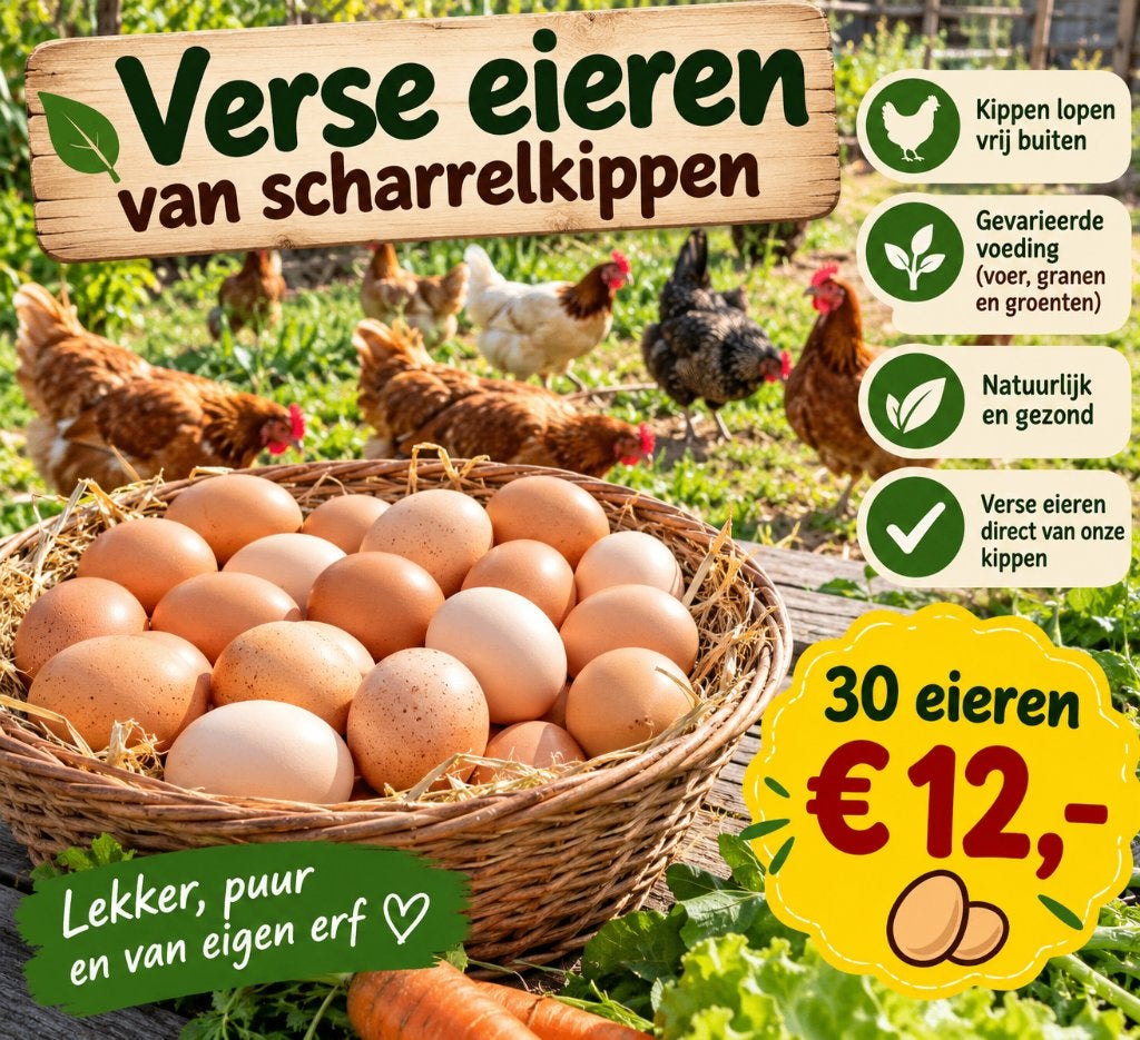 Verse scharreleieren – 30 stuks voor €12, Divers, Enlèvement